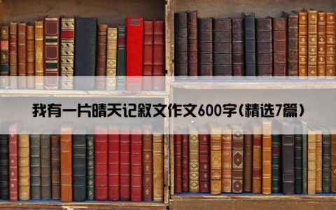 我有一片晴天记叙文作文600字(精选7篇)