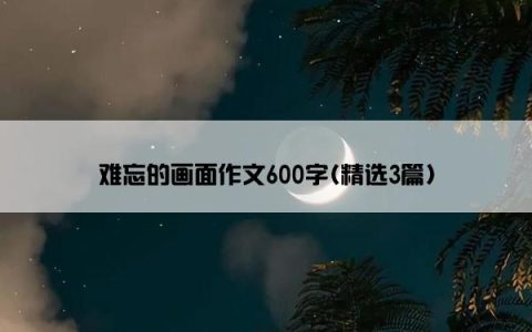 难忘的画面作文600字(精选3篇)