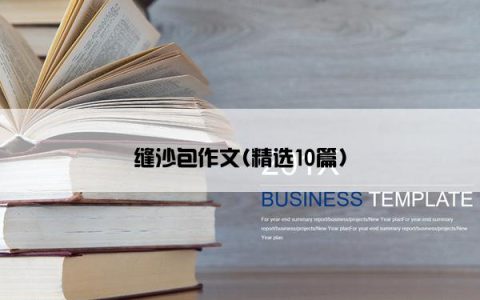 缝沙包作文(精选10篇)