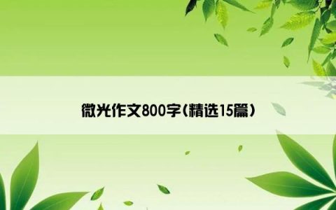 微光作文800字(精选15篇)