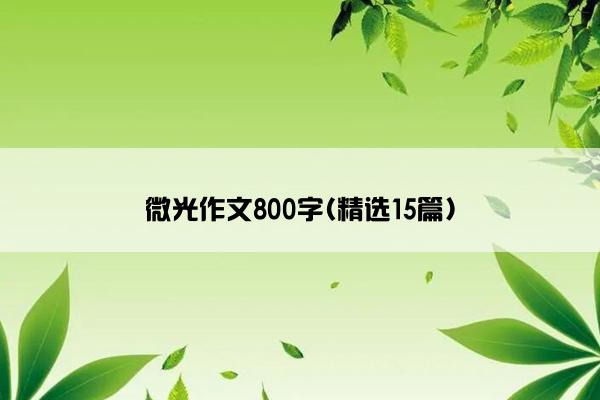 微光作文800字(精选15篇)