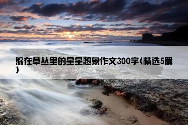 躲在草丛里的星星想象作文300字(精选5篇)