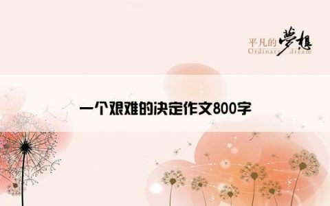 一个艰难的决定作文800字