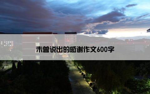 未曾说出的感谢作文600字