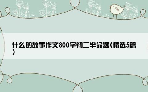 什么的故事作文800字初二半命题(精选5篇)