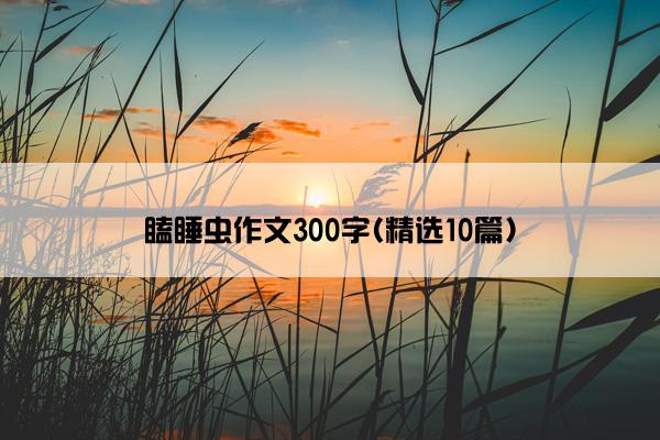 瞌睡虫作文300字(精选10篇)