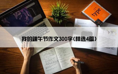我的端午节作文300字(精选4篇)