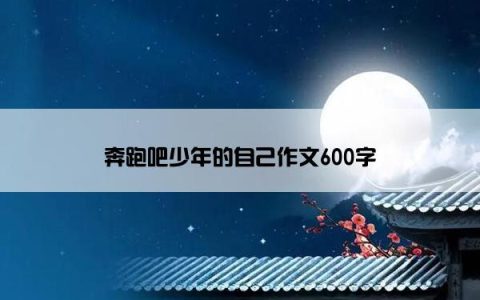 奔跑吧少年的自己作文600字