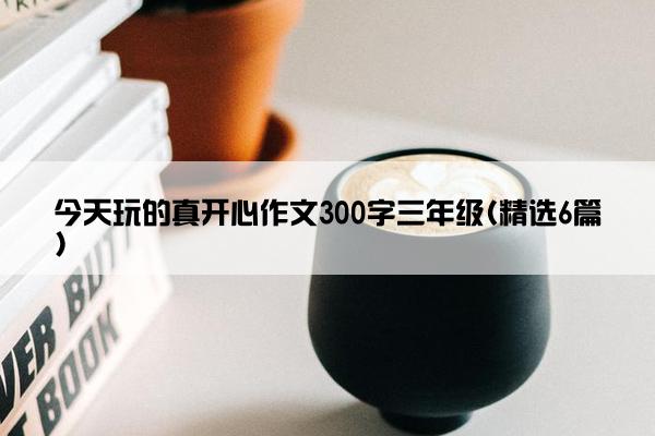 今天玩的真开心作文300字三年级(精选6篇)