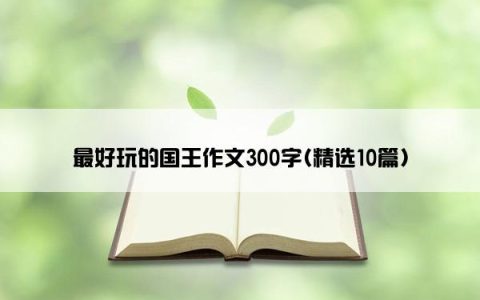 最好玩的国王作文300字(精选10篇)