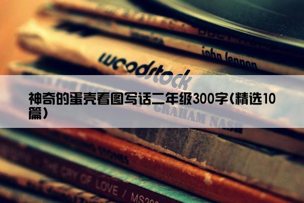 神奇的蛋壳看图写话二年级300字(精选10篇)