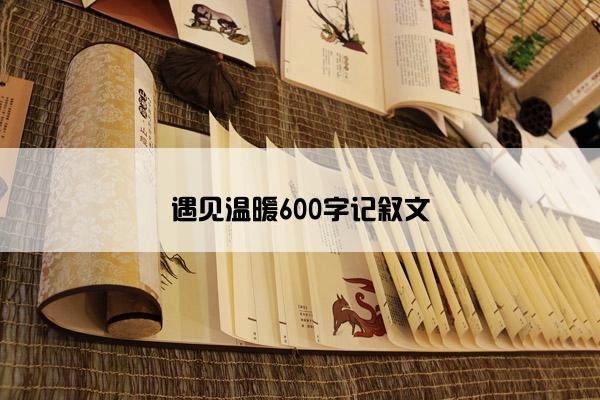 遇见温暖600字记叙文