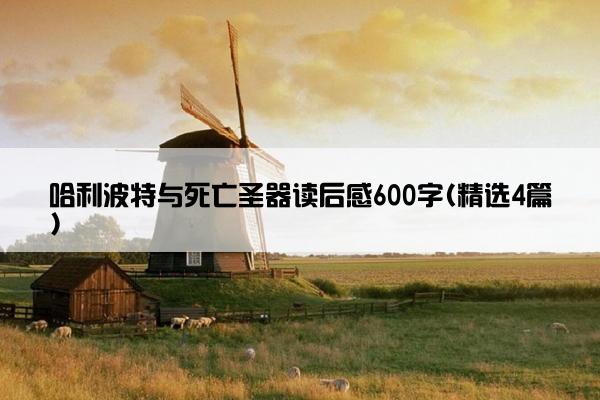 哈利波特与死亡圣器读后感600字(精选4篇)