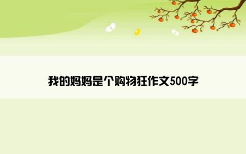 我的妈妈是个购物狂作文500字