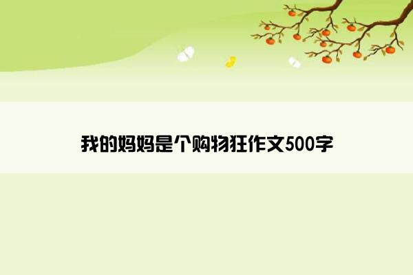 我的妈妈是个购物狂作文500字