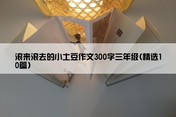 滚来滚去的小土豆作文300字三年级(精选10篇)