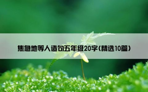 焦急地等人造句五年级20字(精选10篇)