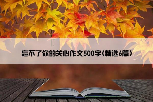 忘不了你的关心作文500字(精选6篇)