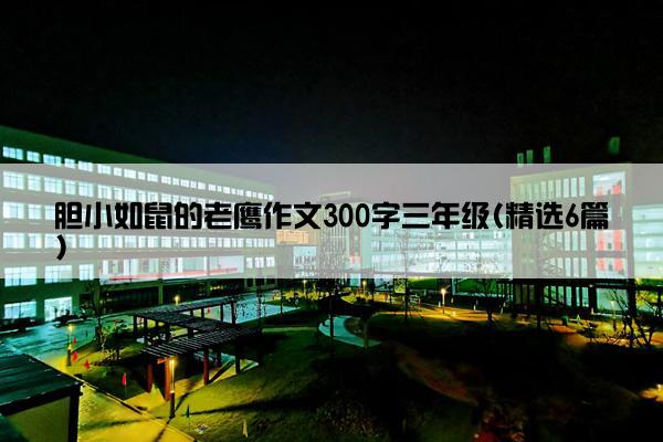 胆小如鼠的老鹰作文300字三年级(精选6篇)