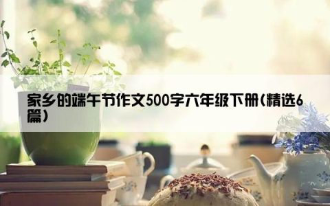 家乡的端午节作文500字六年级下册(精选6篇)