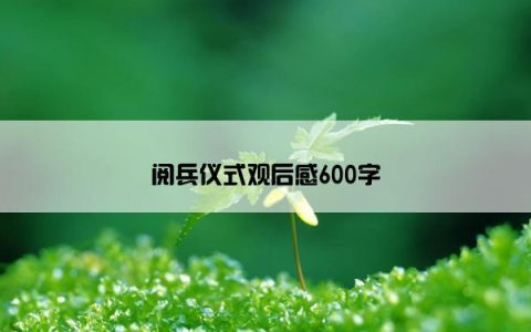 阅兵仪式观后感600字