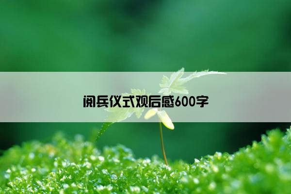 阅兵仪式观后感600字