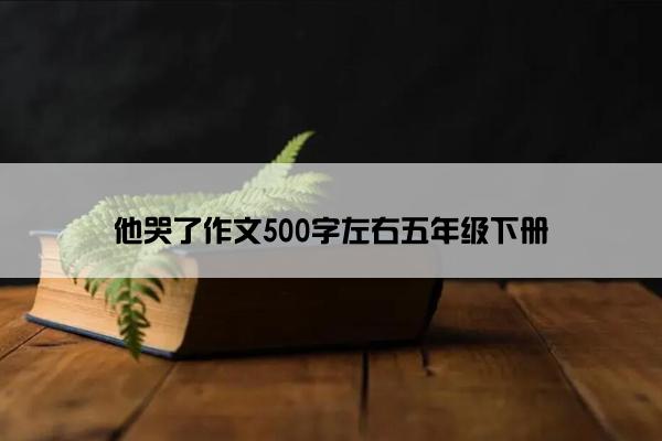 他哭了作文500字左右五年级下册