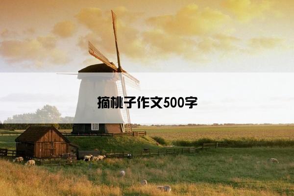 摘桃子作文500字