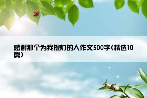 感谢那个为我提灯的人作文500字(精选10篇)