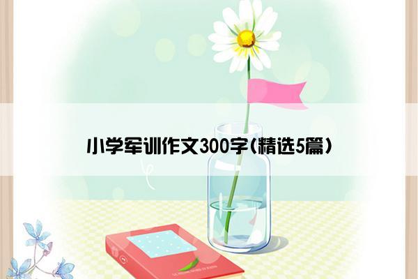 小学军训作文300字(精选5篇)