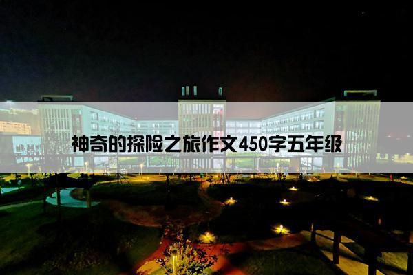 神奇的探险之旅作文450字五年级