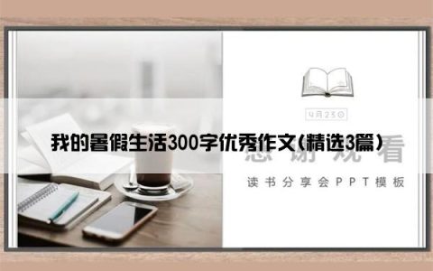 我的暑假生活300字优秀作文(精选3篇)