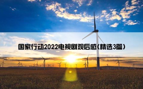 国家行动2022电视剧观后感(精选3篇)