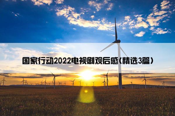 国家行动2022电视剧观后感(精选3篇)