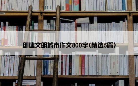 创建文明城市作文800字(精选5篇)