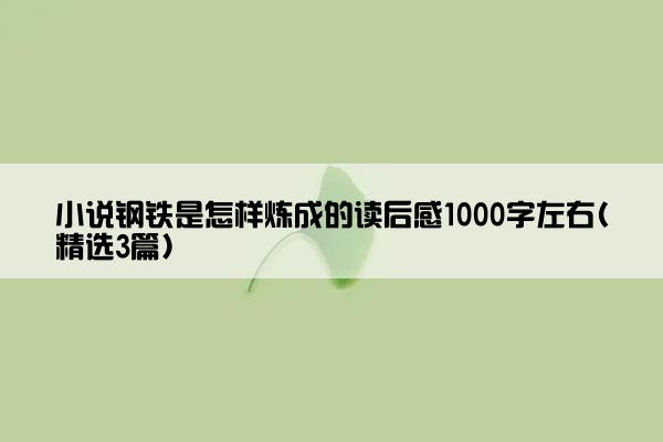 小说钢铁是怎样炼成的读后感1000字左右(精选3篇)