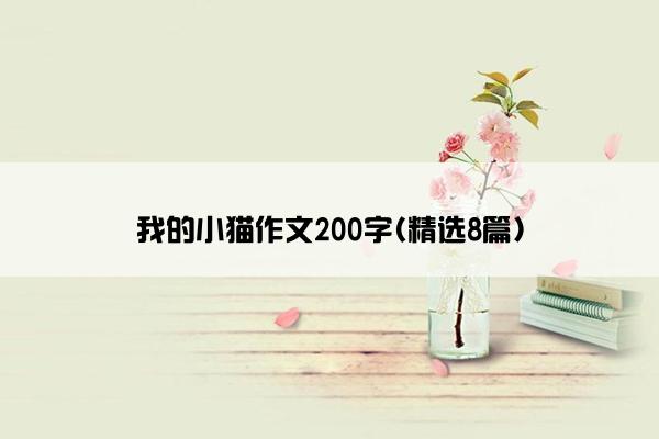 我的小猫作文200字(精选8篇)