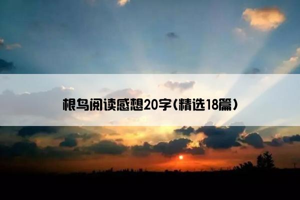 根鸟阅读感想20字(精选18篇)