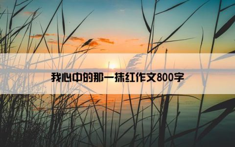 我心中的那一抹红作文800字