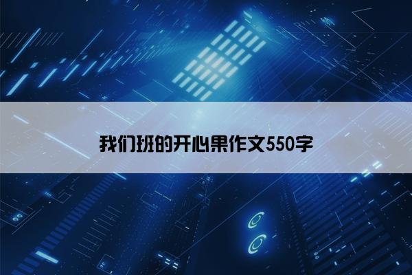 我们班的开心果作文550字