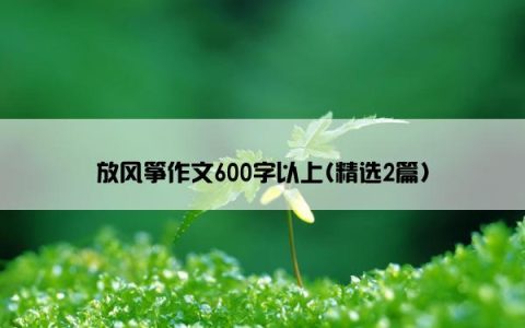 放风筝作文600字以上(精选2篇)