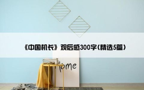 《中国机长》观后感300字(精选5篇)