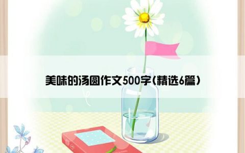 美味的汤圆作文500字(精选6篇)