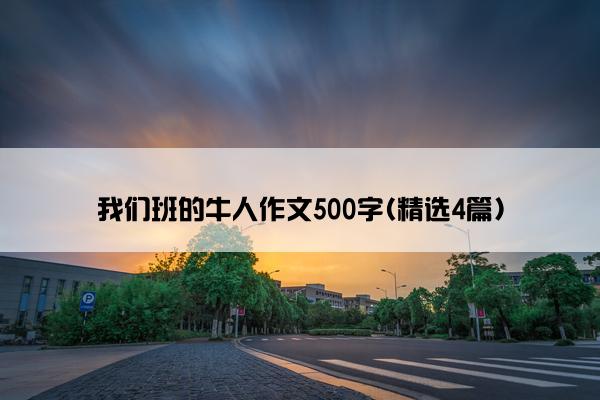 我们班的牛人作文500字(精选4篇)