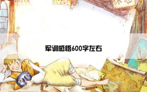 军训感悟600字左右