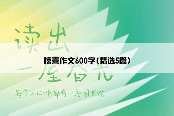 惊喜作文600字(精选5篇)