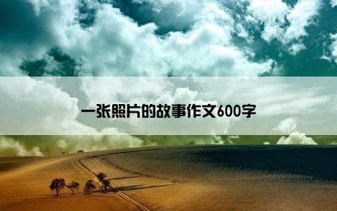 一张照片的故事作文600字