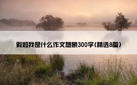 假如我是什么作文想象300字(精选8篇)