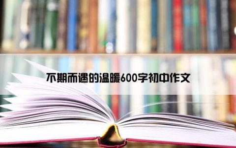 不期而遇的温暖600字初中作文