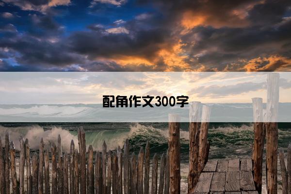 配角作文300字